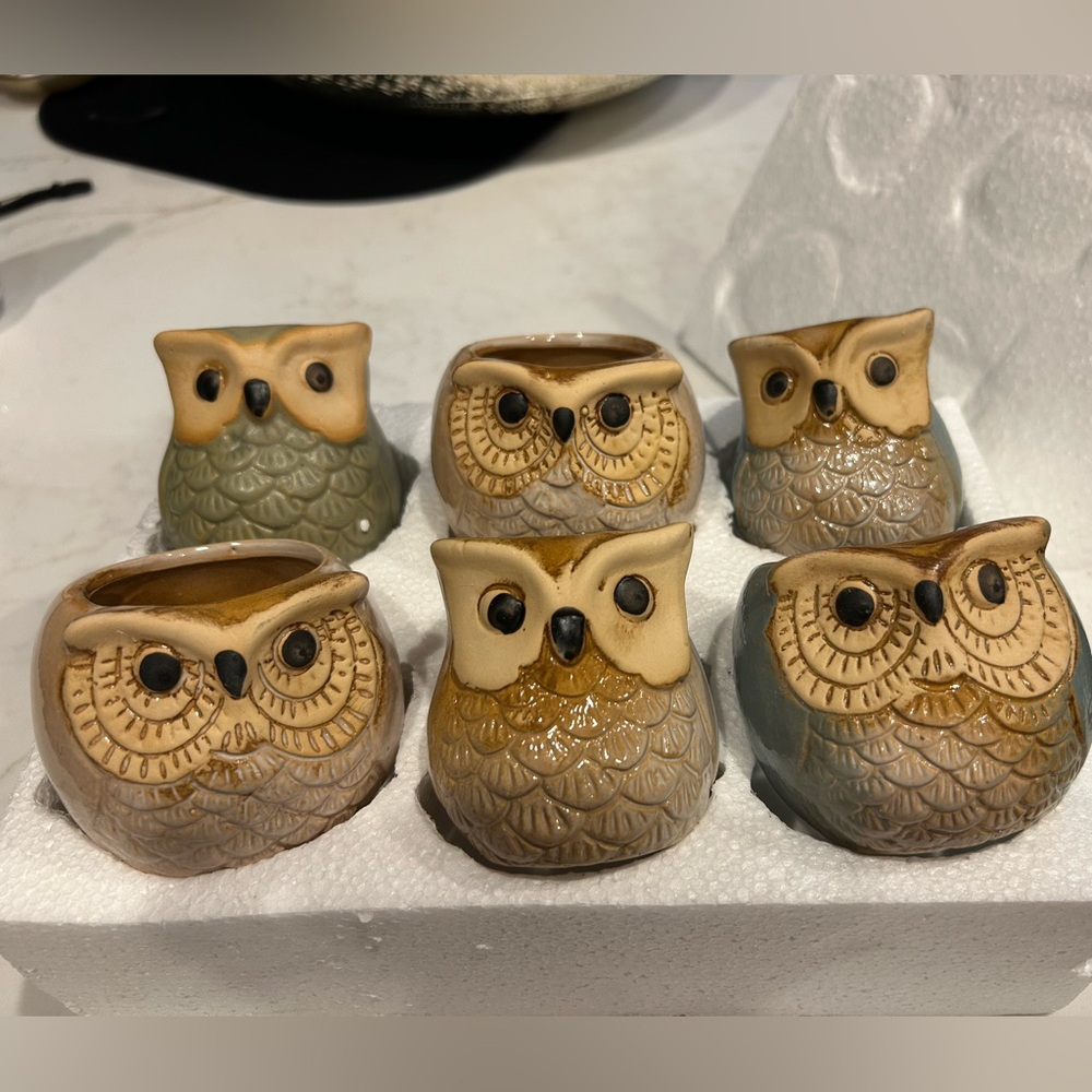 Set of Owl-Shaped Ceramic Planters or votives